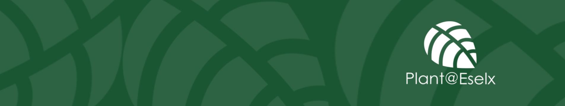 plantaseselx